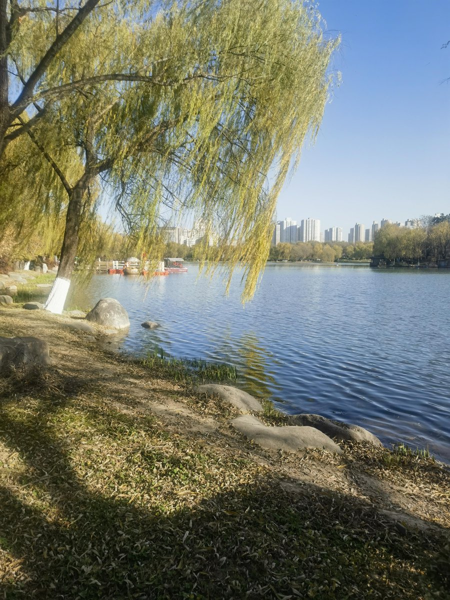 chw_0527's tweet photo. Quick midday escape to the riverside park—sunshine, breeze and 30 mins of peace away from the desk ♂, https://t.co/EP3JT8EWzb