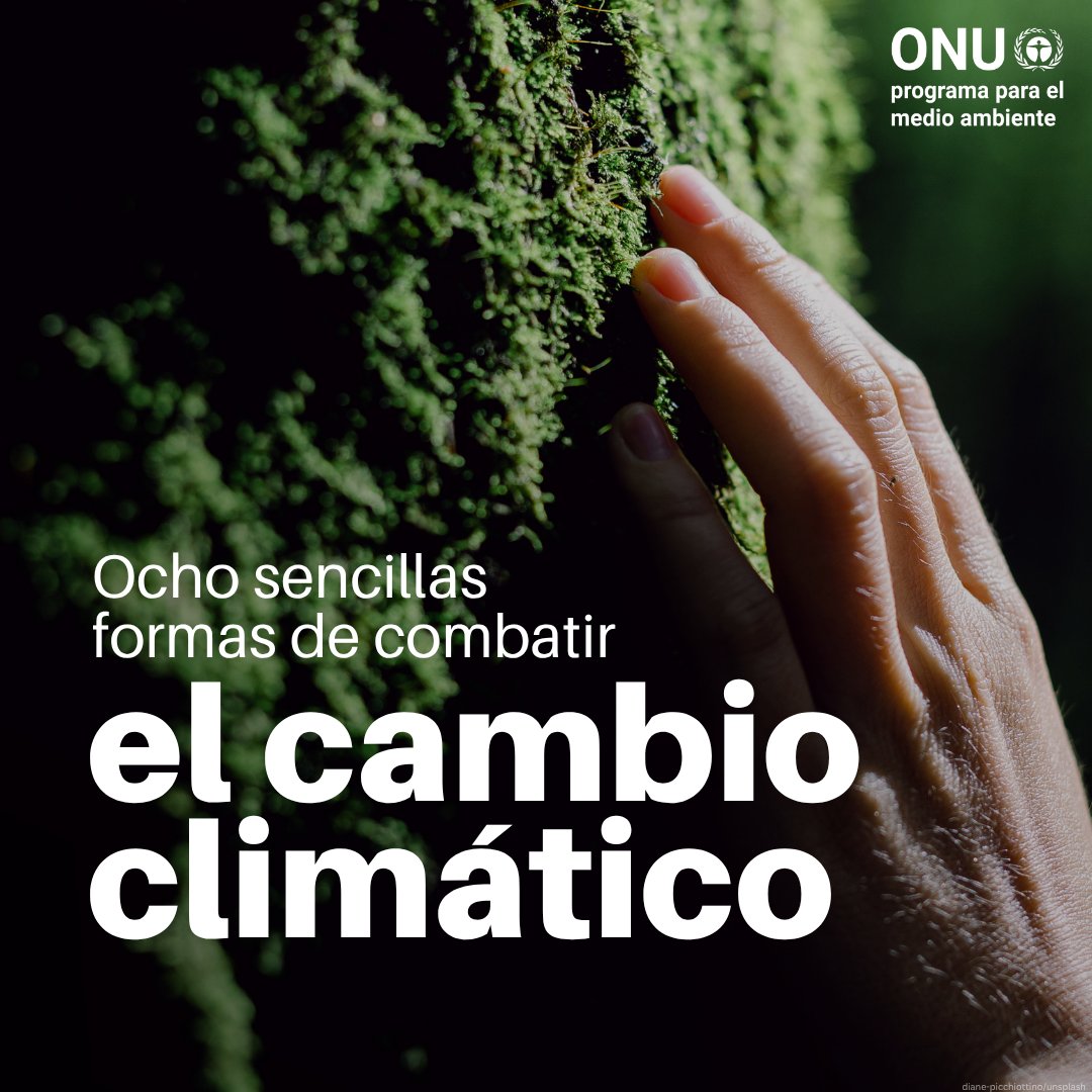 unep_espanol's tweet photo. Más de una década tras el Acuerdo de París, nuestras emisiones de CO2 continúan aumentando, acelerando el cambio climático.

Pero aún tenemos el tiempo —y la responsabilidad— de reducirlas #PorElClimaYa.

Aquí tienes 8 ideas para lograrlo (ojo con la 8):

https://t.co/XsGU3giAAF https://t.co/Qd8TSwrSIf
