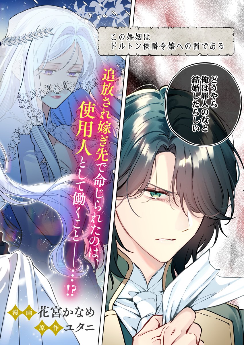 FG_spira's tweet photo. ✨新刊先行配信✨
コミックシーモアにて、花宮かなめ先生/原作:ユタニ先生の『元侯爵令嬢の辺境使用人ライフ』(1-5巻)が先行配信開始💞

https://t.co/4DNvkQZ98Z
#comicスピラ https://t.co/BlfoafUCd9