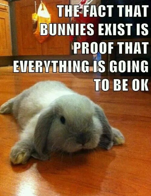 animalpopular9's tweet photo. https://t.co/Id9kH2hoKG