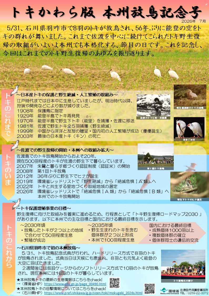 kankyoshosado01's tweet photo. 【トキかわら版本州放鳥記念号を発行しました！】  

5/31に石川県羽咋市で本州初で初となるトキの放鳥が行われました。
今回の記念号では、トキ野生復帰の過去・現在・未来を改めて振り返ります。

 #佐渡 #朱鷺 #絶滅危惧種 #野生復帰 #保護 #環境省 #トキかわら版 https://t.co/yknN5uu3VA