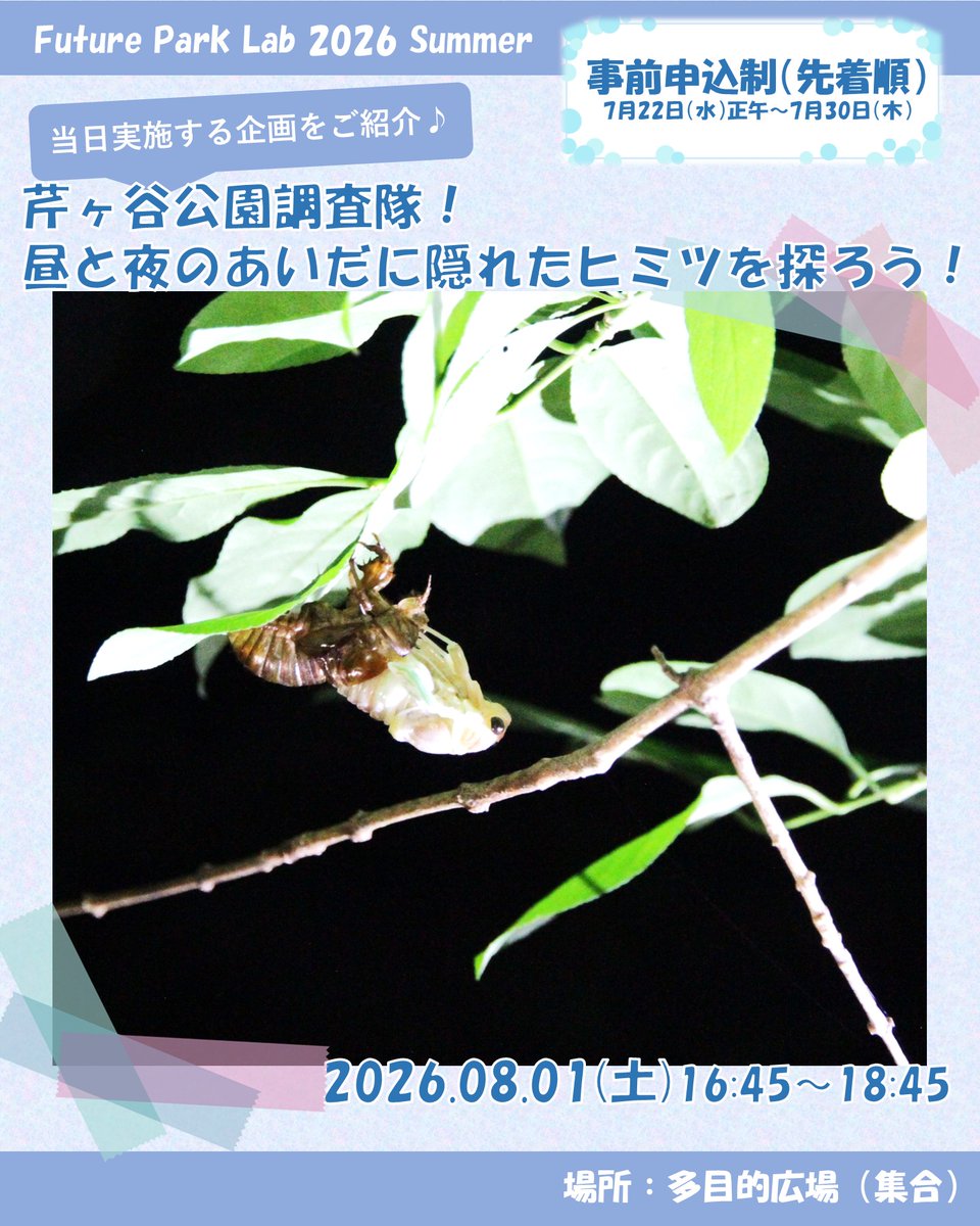 ネルノダイスキ いえめぐり 特典 チラシ 芹ヶ谷公園パークミュージアム カード ネルノダイスキ いえめぐり 特典 チラシ 芹ヶ谷公園パークミュージアム