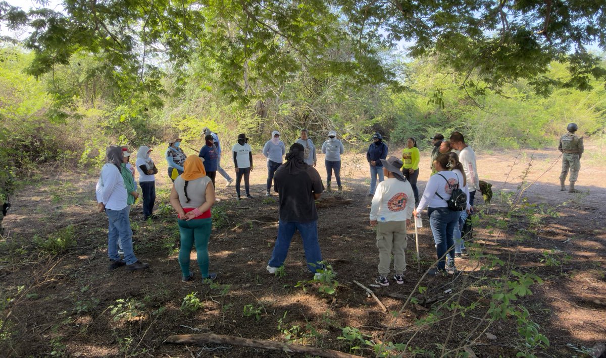 alchilelasnotic's tweet photo. #ElRobleSinaloa Colectivo Buscando a Jonas de Puerto Peñasco, localizó 4 osamentas gracias a un reporte anónimo. @RINoticias1 @ELDEBATE https://t.co/hRMVeNHAsy
