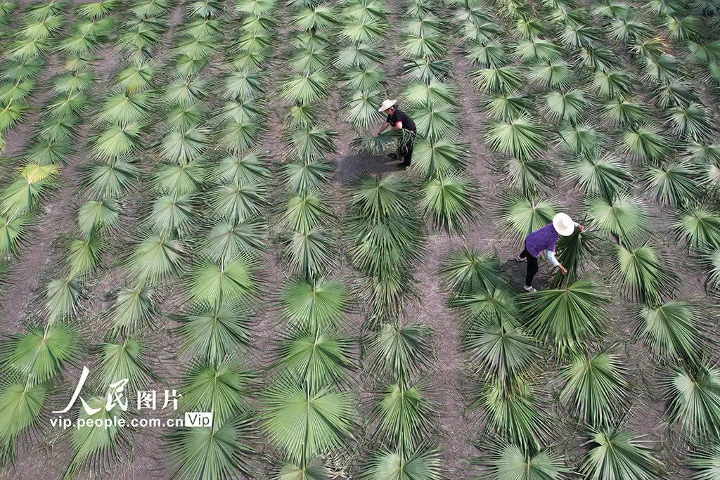 Beautiful China tweet media