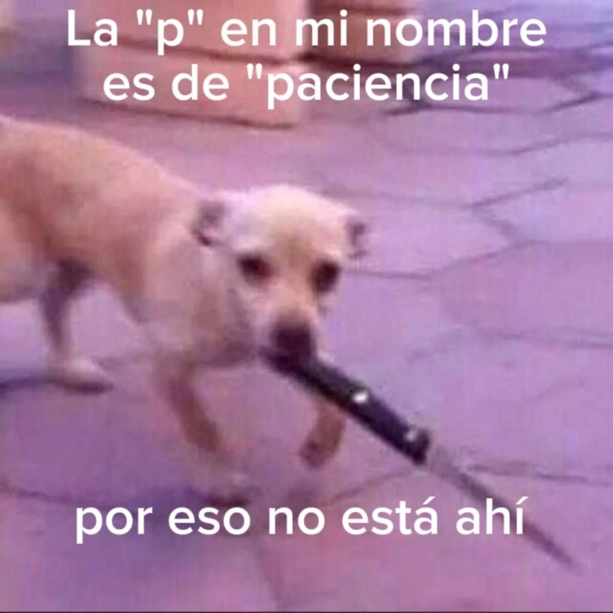 NYKA__AGAIN's tweet photo. No se juega así con los sentimientos de la gente 😭 https://t.co/RPCXZ2xL9c