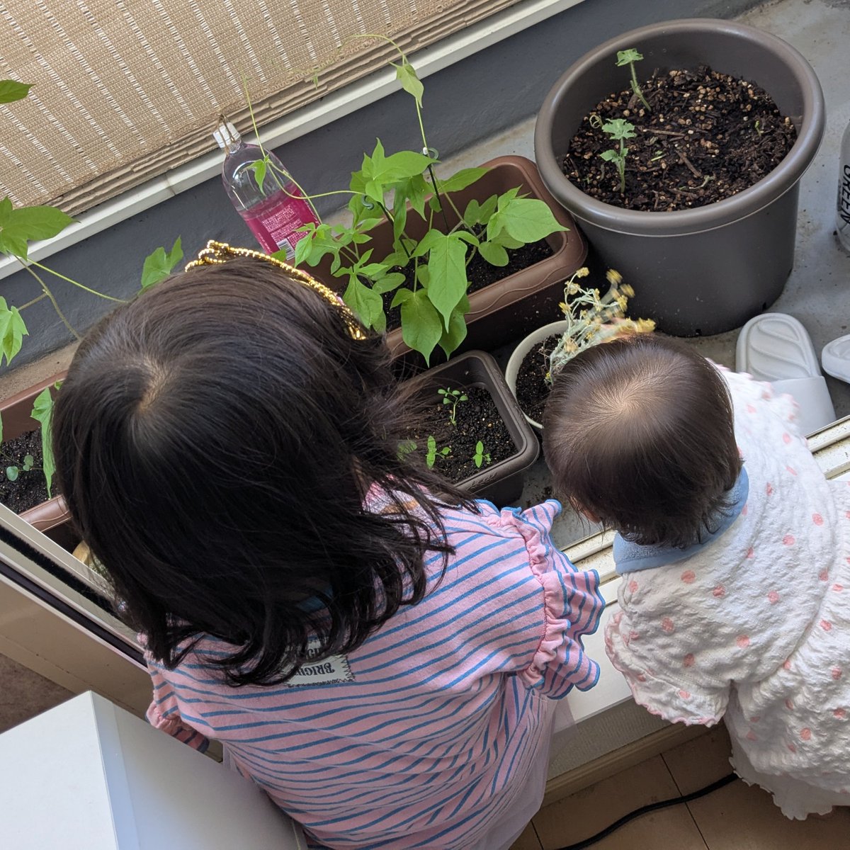 s_nacjko's tweet photo. そういえばなぎこの子は5歳と1歳になりました https://t.co/mIMCPYCq22