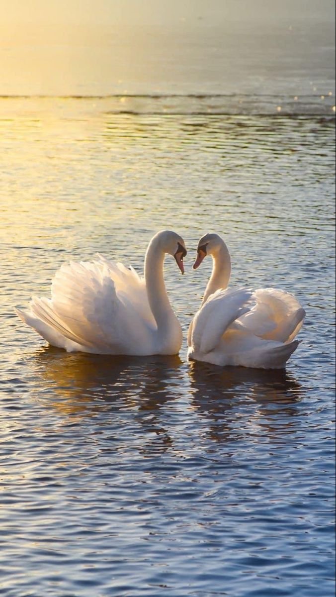 vikasknirmal's tweet photo. @suzy_sakaki @sheriran95 @Anna1531711 @enriquillo2 @june_dewild @natural77384672 @PhilxxUK @Alexa17101614 @ramasignage2145 @SophiaHarr54006 @a_zicc @maype7 @aa0921629853 @marsal_syl28713 @zyx29 @lhkjade921 @emilyk_id @johnsplash820 @Make_u2_happy @katiemusher @rainaofficial01 @SuzanneLepage1 @1redroc @eoff_sylvia @lu_a_h_kook @RoseLillie_na @Lilli_fb @mindfulheal @gary_hensel @VikaPuta @Alexhia_0 @aleeza_kaur @lilfallonmelons @2white_jets @KarenBarryDavi1 @Marietta117 @EmmanuelKaglan @Veronika_Mazina @gtimenov @olivarthur399 @MariaGa7212 @wonceptual @andrea_ilrga @Vlada_Ulisova @Uldouz @LUVO786 @Alisiya_Pankova @ButlerJame60514 @marcladoxa The best #friendships are built on trust, #kindness, and endless support ❤️ https://t.co/e6MveTUrKe