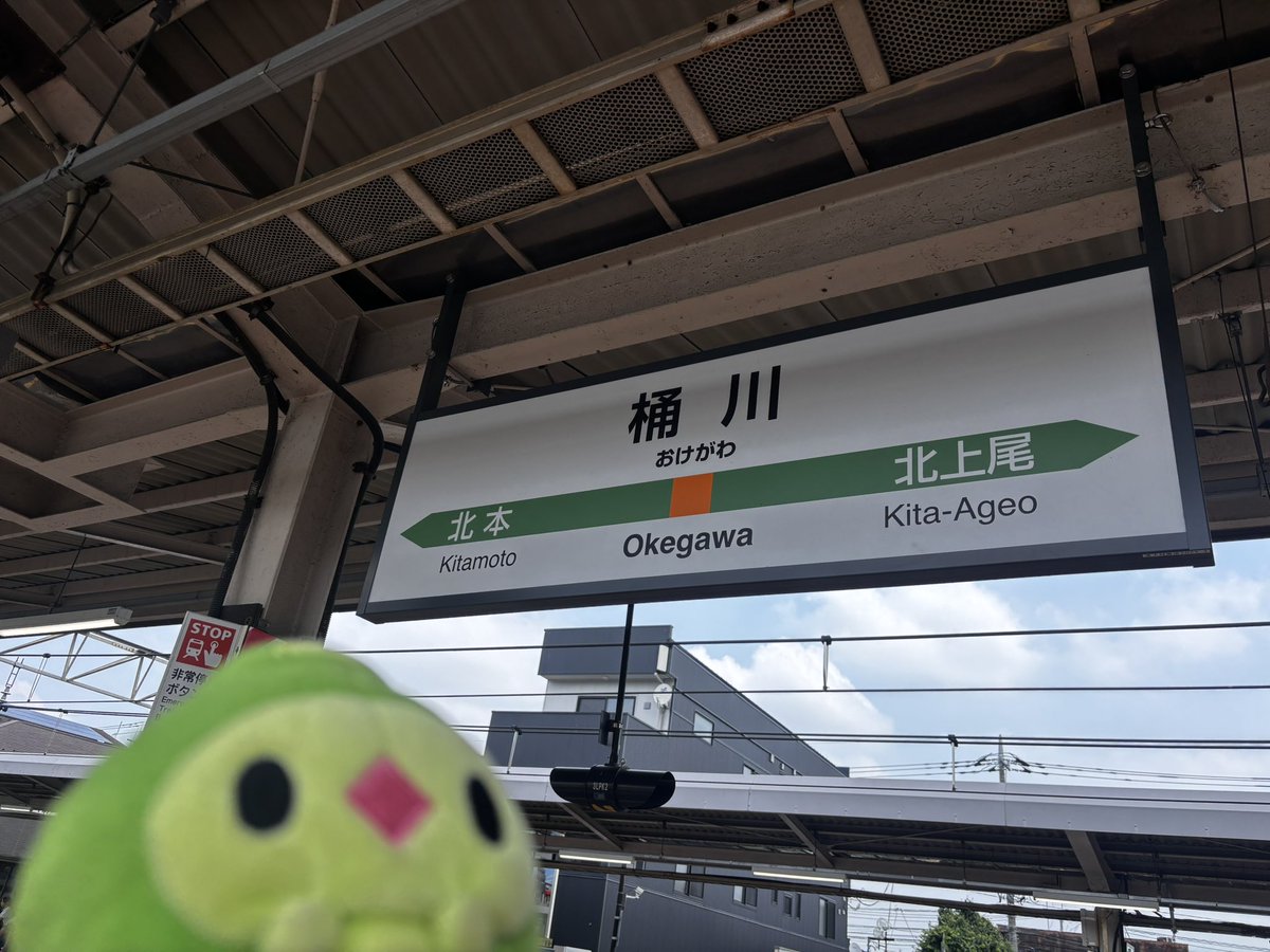 mitsukunipoke's tweet photo. 8年前に1度設置されただけでもうこの駅にスタンプは無いのよダブラン・・・(JRの皆様、来年こそお待ちしてます・・・)
#JR東日本ポケモンスタンプラリー https://t.co/9ZclqqI7S1