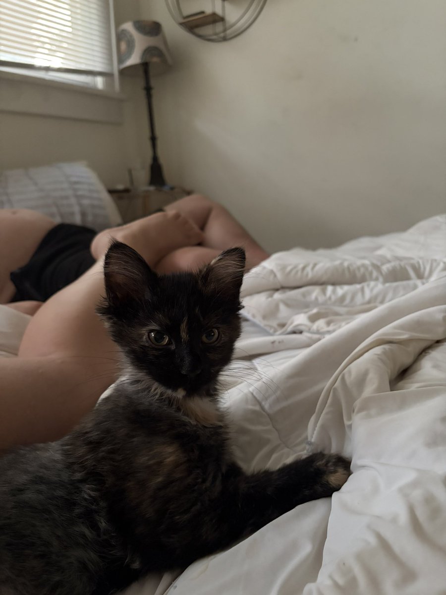 unicornmob_'s tweet photo. Fifi, Toes, and Crème Fraiche https://t.co/FX1GZJXAtk