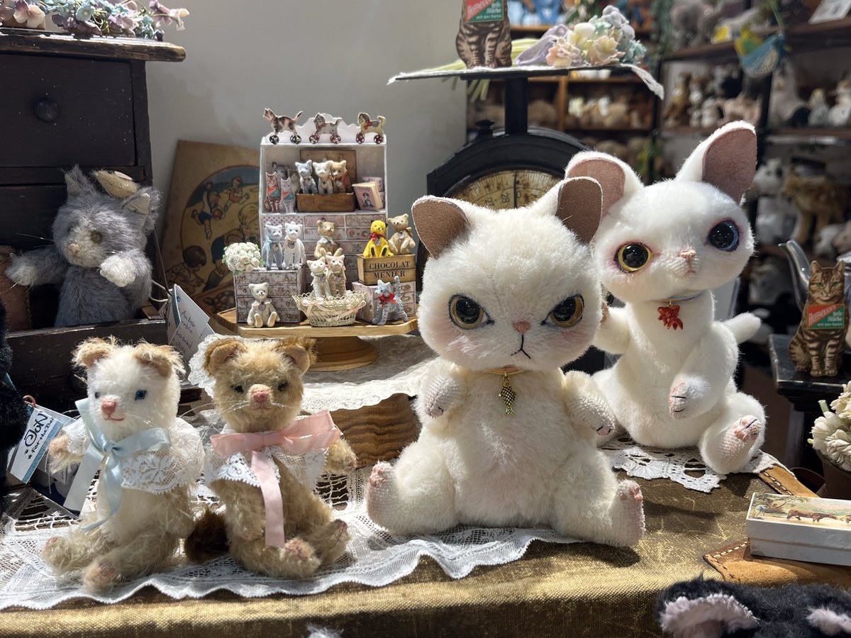 TeddyBearsClubu's tweet photo. 『ニャンダフルワールド』
本日より一般販売開始です🐈🌟

午前12時よりお電話でのご注文もお承りしております。

詳細はうめだ阪急テディベアーズクラブまでお問い合わせください。
📞06-6361-1381(代表) https://t.co/F2aEsBlEom