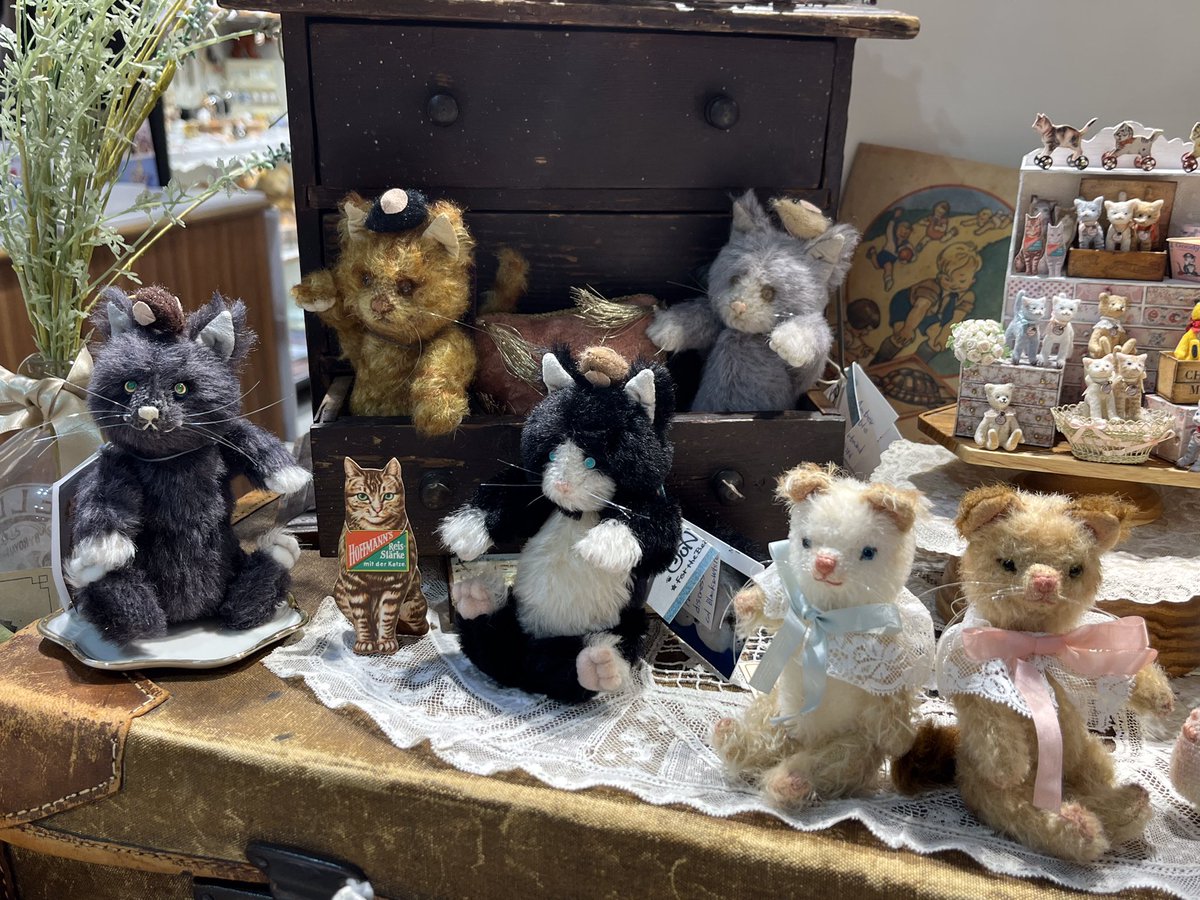 TeddyBearsClubu's tweet photo. 『ニャンダフルワールド』
本日より一般販売開始です🐈🌟

午前12時よりお電話でのご注文もお承りしております。

詳細はうめだ阪急テディベアーズクラブまでお問い合わせください。
📞06-6361-1381(代表) https://t.co/F2aEsBlEom