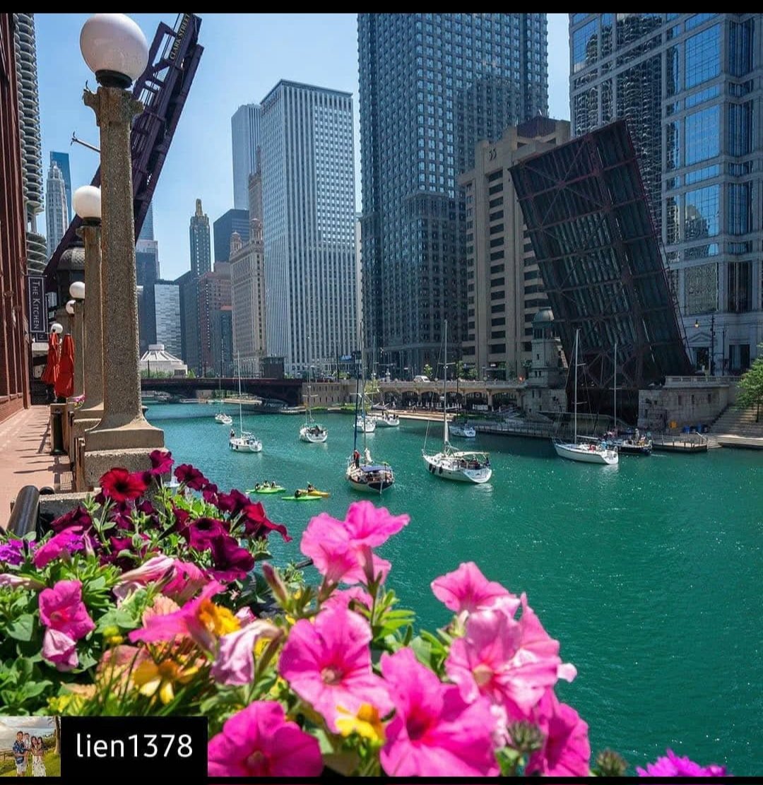 cwharris773's tweet photo. My city.
#Chicago https://t.co/SoZXvFCTUV