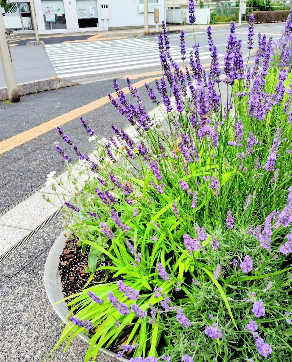 teupiol's tweet photo. 今日トレジャーハントの時、砂に埋まりそうな俺のサンダルMOMOさんがポイッて投げてくれたの興奮しました
もう洗いません(洗います) https://t.co/shQGH8VAxk