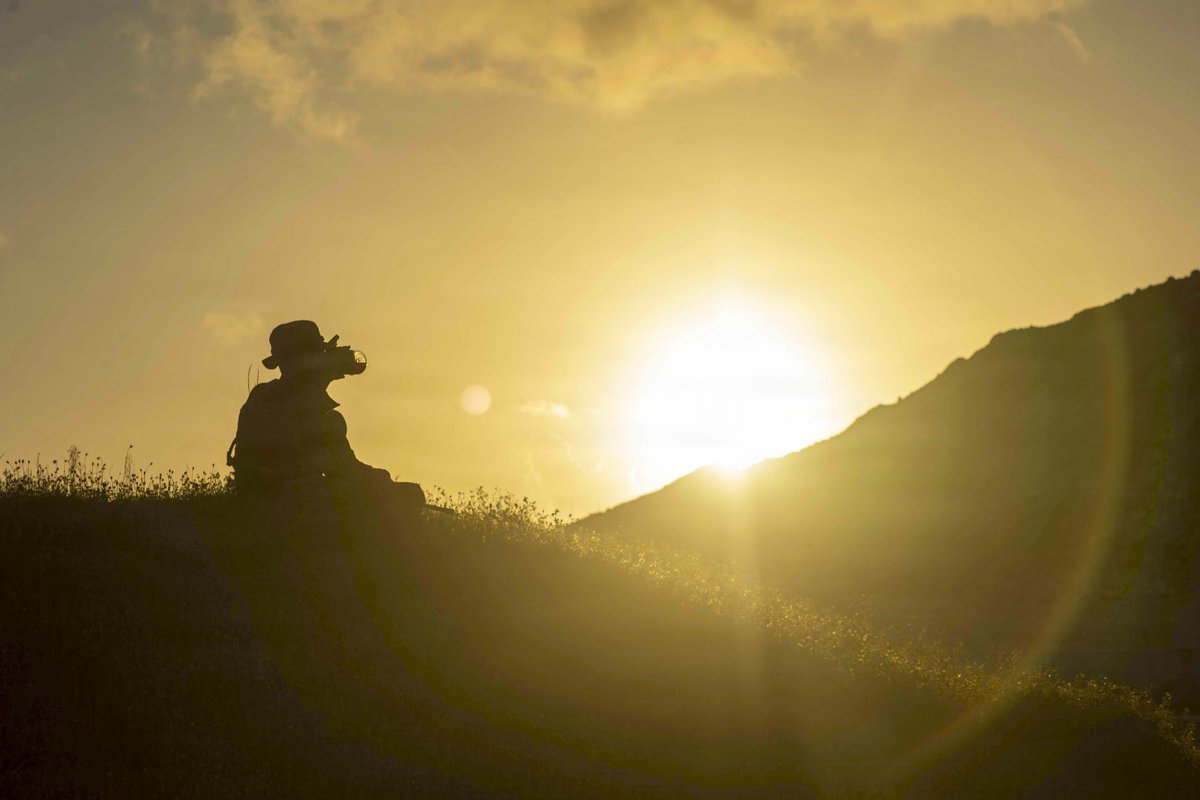 III MEF Marines tweet media