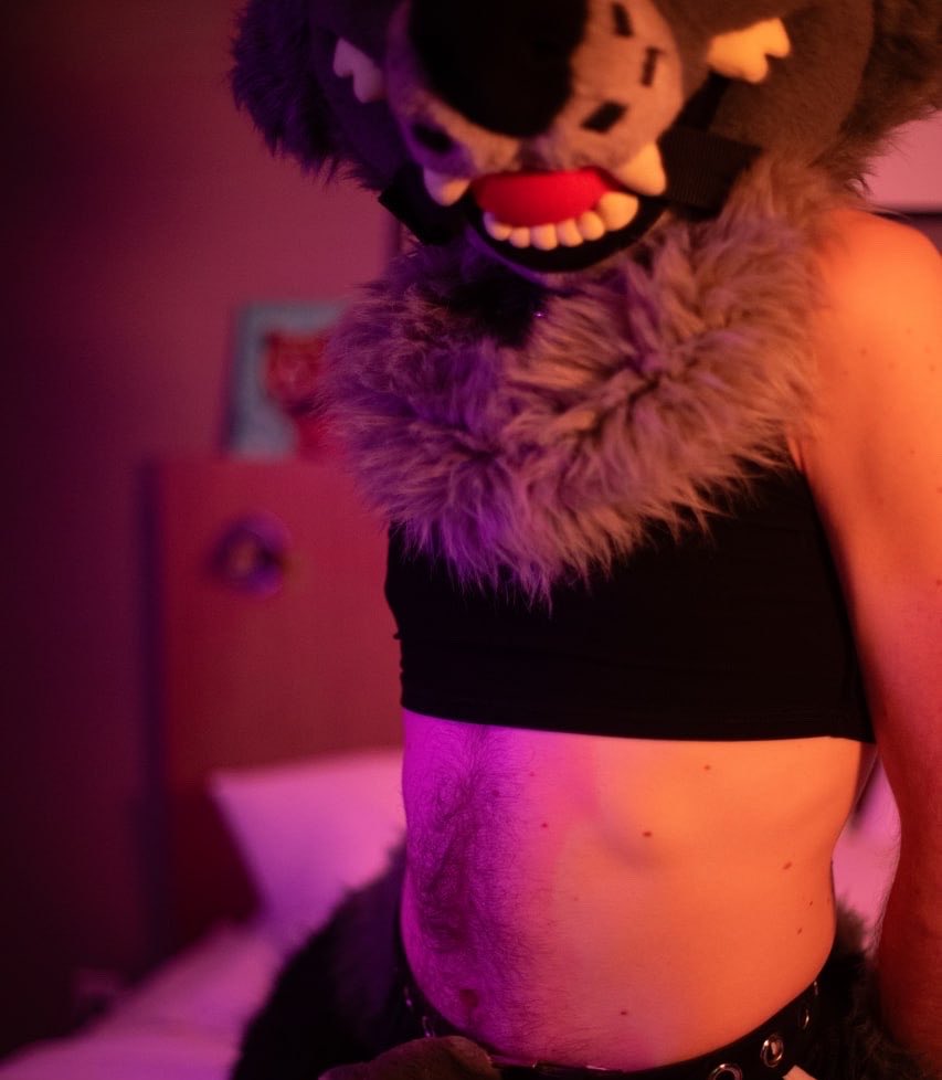 BigGayFurryLove's tweet photo. 🔞 account
 @biggayfurryad https://t.co/bpEwUBWvcD