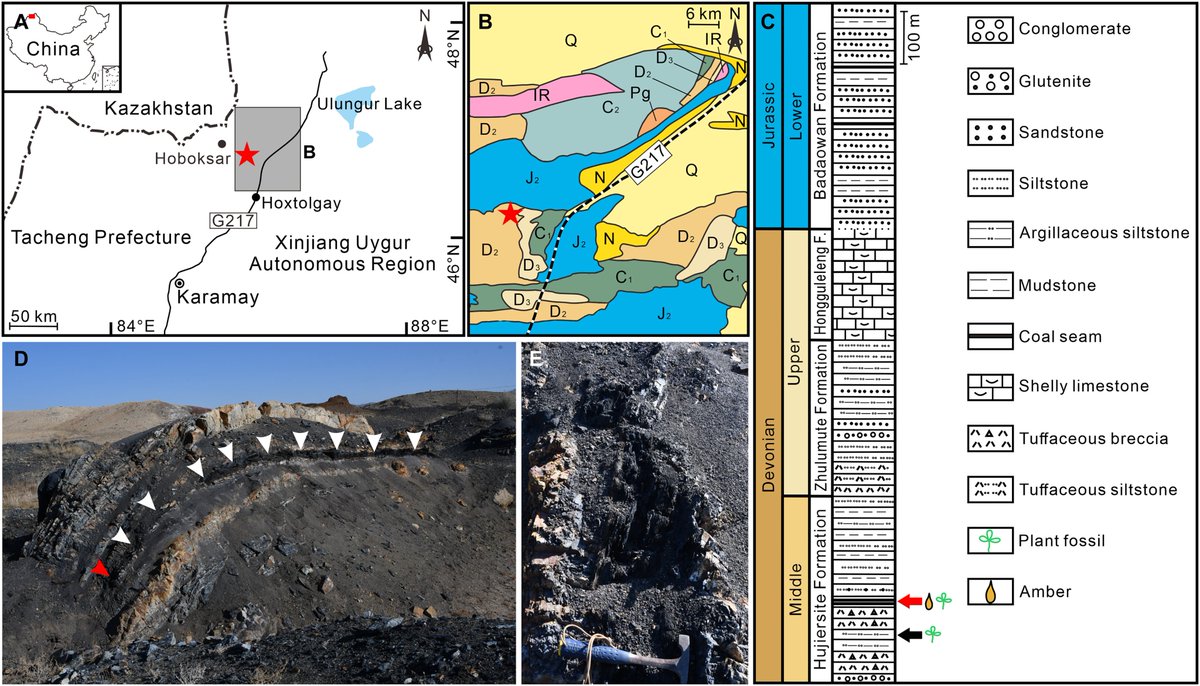 NatSciChannel's tweet photo. 🚨NEW STUDY DROP🚨

You're not gonna believe this one - AMBER was found in the Middle Devonian Hujiersite Fm of China. Chemical and Spectral analyses of the amber proves it came from a conifer-type plant. This pushes back the oldest direct proof of amber/sap 65 my. CRAZY! https://t.co/Nl2AhtQNBj