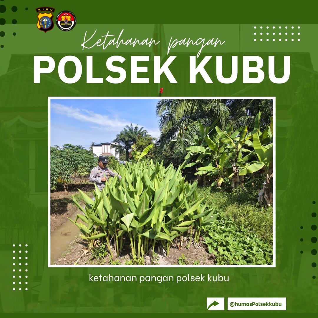 joedhattnt's tweet photo. Personil Polsek Kubu melakukan kegiatan pengecekan ketahanan pangan di wilkum polsek kubu

#polsekkubu
#polisicintapetani
#swasembadapangan
#ketahananpangan https://t.co/UHG5dYZmN3