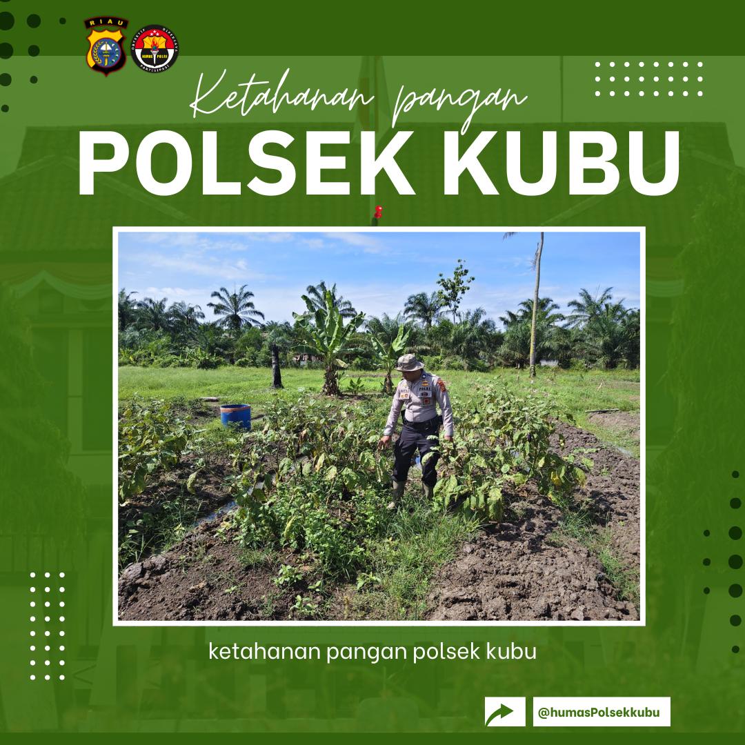 joedhattnt's tweet photo. Personil Polsek Kubu melakukan kegiatan pengecekan ketahanan pangan di wilkum polsek kubu

#polsekkubu
#polisicintapetani
#swasembadapangan
#ketahananpangan https://t.co/UHG5dYZmN3