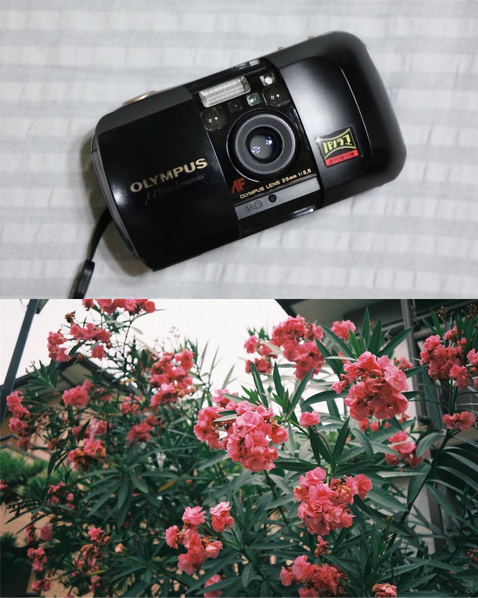 朝光さんのおニューカメラ ツアーのお供に仲間入り^^ ⑪ 「OLYMPUS μ