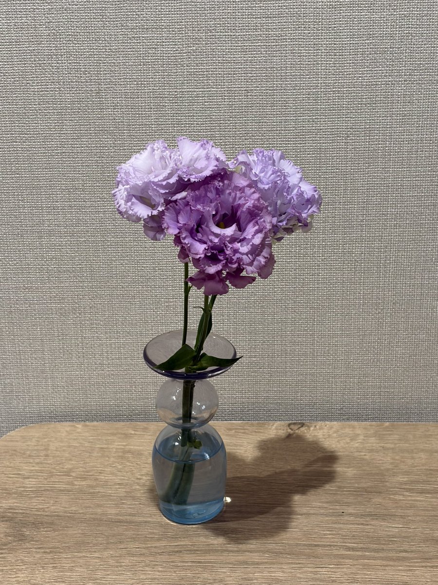 _mrts_ay's tweet photo. こっちの方が写り綺麗だった https://t.co/kBvCpuriDs