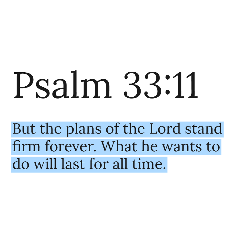 Holy Bible tweet media