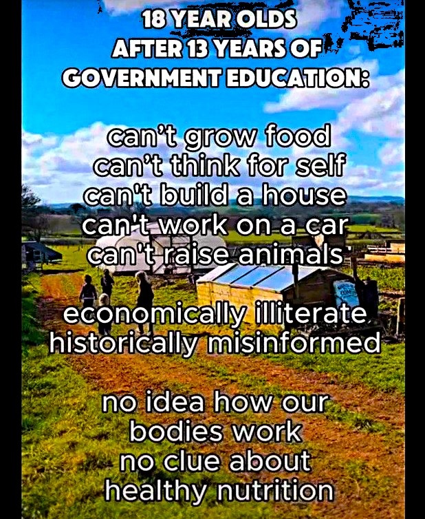 GigaBasedDad's tweet photo. Why would you ever send your kids to Public School? https://t.co/M4zqtk3e4W