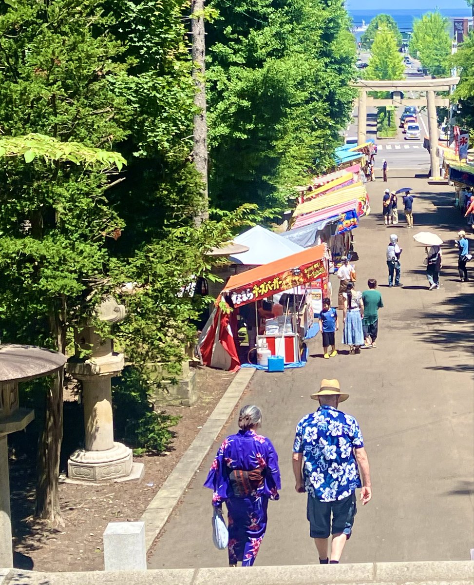 今日も夏日和です。