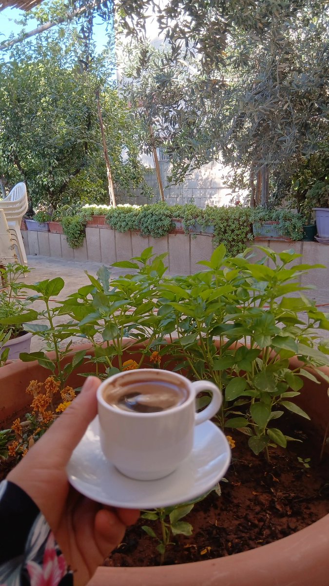 Hawraa Awde🦋 tweet media