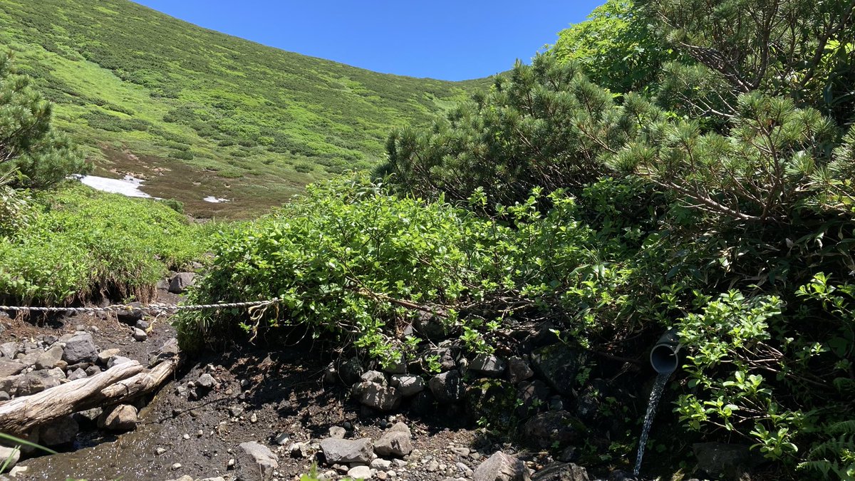 ezofujigoya's tweet photo. 羊蹄山
避難小屋横にある水場と
薬草ヶ原の雪渓の様子です
雪渓はそろそろ
無くなりそうです https://t.co/iMiYlMN0AL