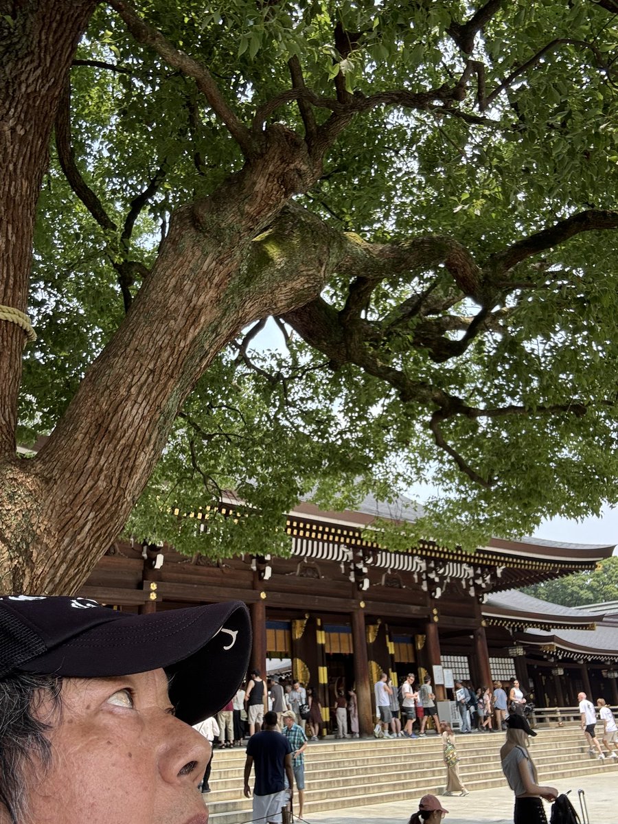 hirupacifico's tweet photo. 今日もアメイジング明治神宮⛩️で神頼みでござる https://t.co/RHw7PUZ3Kf