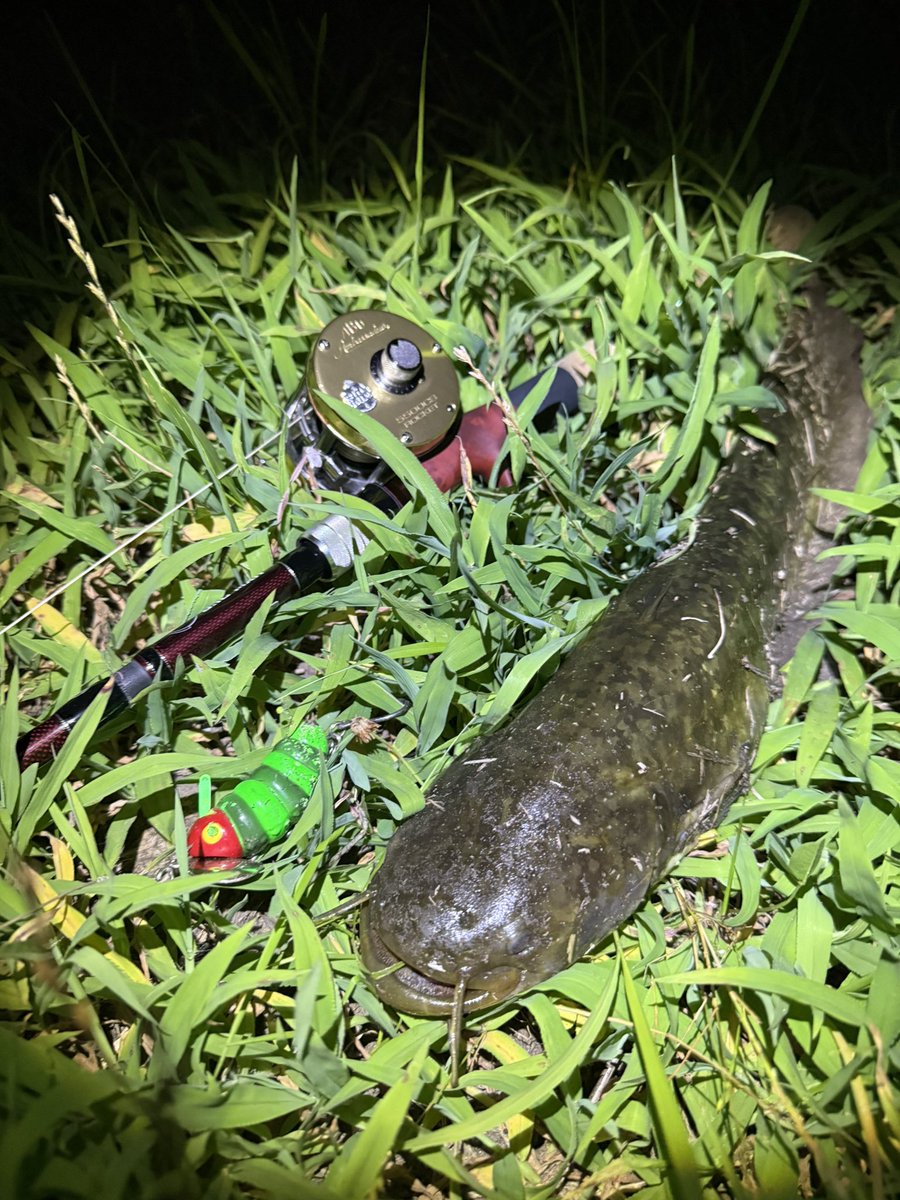 K_catfish90's tweet photo. 田んぼの中干し中は夏本番と重なってなかなかしんどいね🤣坊はボチボチ頑張ってるケド、僕は体力持ってかれて無理😂若いって素晴らしい！
#夜鯰遊戯
#Fishman
#BC4510MXH
#Ambassador5500CSロケット https://t.co/SdtNhmUy6v