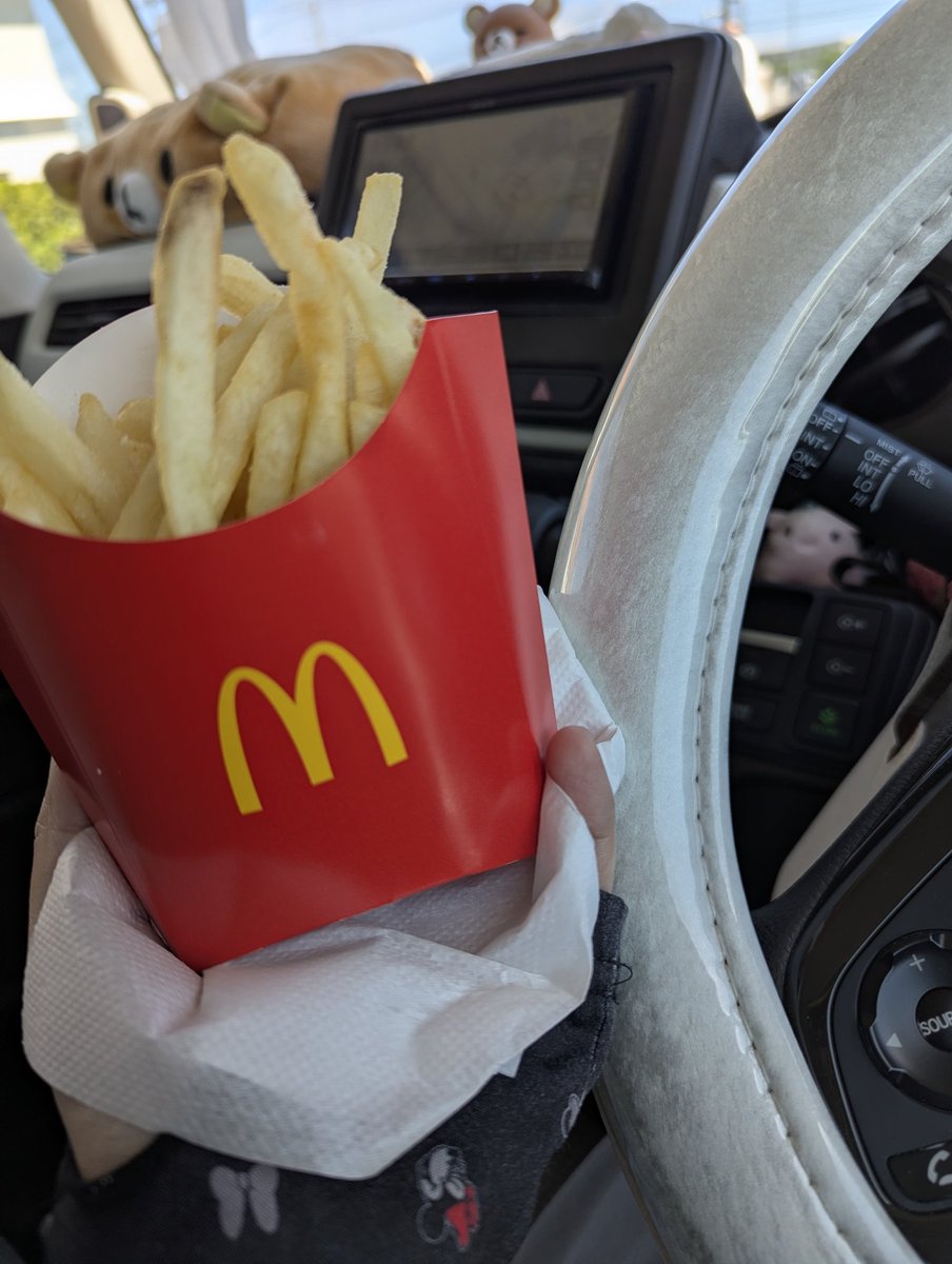 echooo3224's tweet photo. いつぶりか分かんないマックポテト🍟
バーガーは旦那がたまに買ってきてくれるから食べてるけどポテトは持ち帰ると美味しくなくなるからずっと食べれずにいた😂
多分今年初かも!? https://t.co/pYyuFZQxjn