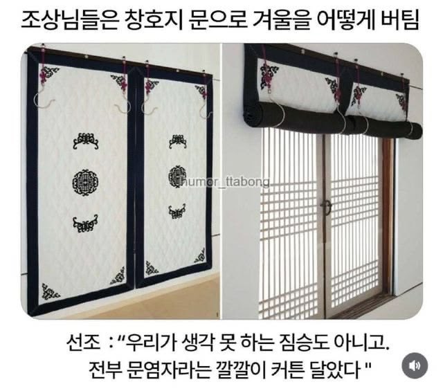 thinkingtree413's tweet photo. 조상님들이 겨울을 이겨낸 방법 https://t.co/87MS3ksJM0