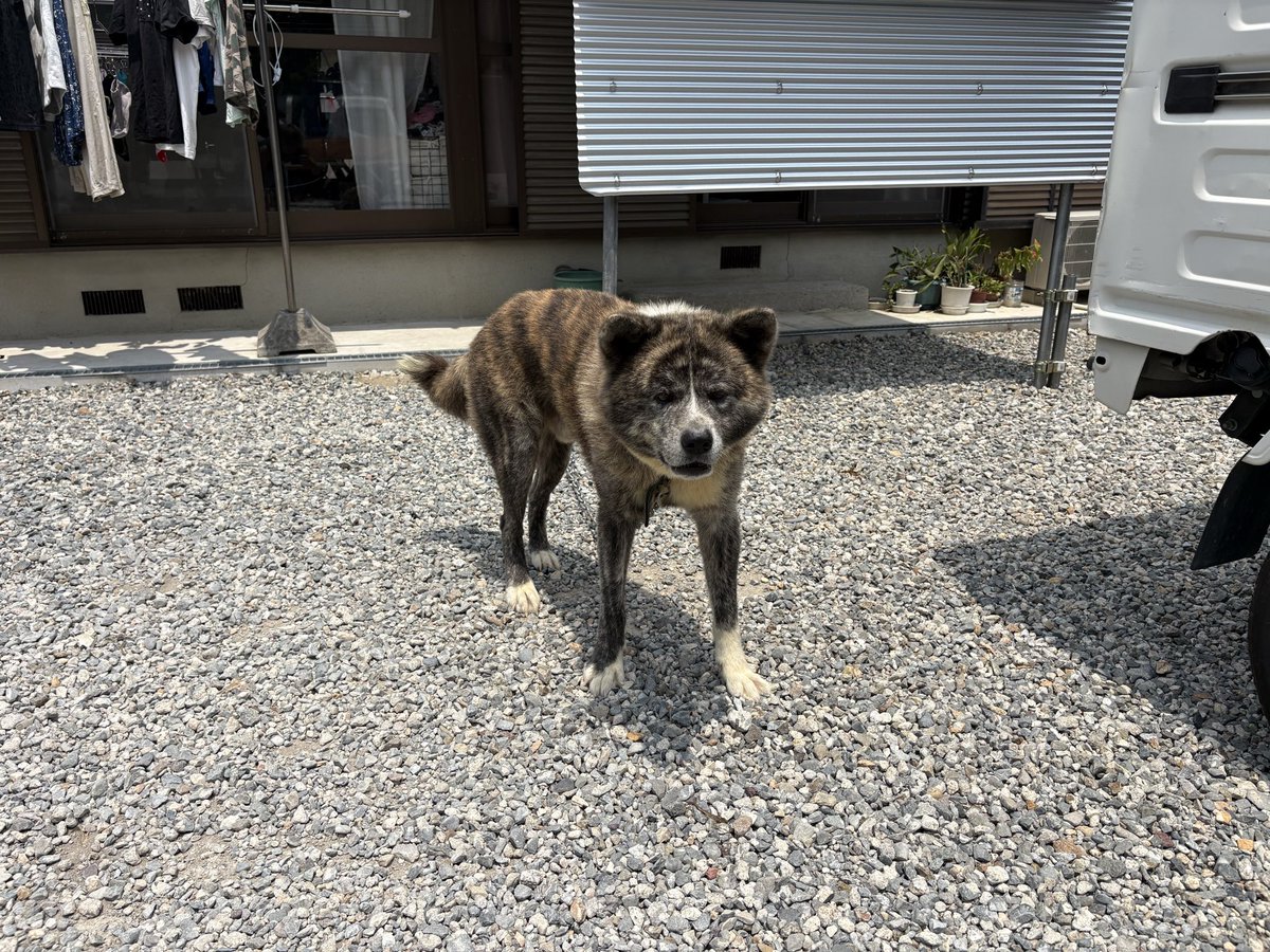 しょーた。 tweet media