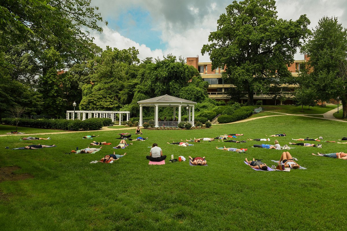 TheParksDC's tweet photo. Join us for weekly fitness✨  https://t.co/e7hllIxz6W 

Yoga on the Great Lawn:
🌟Thursday | 6–7 PM
🌟Sunday | 9–10 AM
💥 Tuesdays: HIIT’s A Vibe – 6:30 PM
📍 Saturdays: Strength &amp; Cardio – 8 AM
💃 Saturdays: Zumba – 10 AM
☯️ Saturdays: Qigong &amp; Tai Chi – 10–11 AM https://t.co/LnbEy1I733