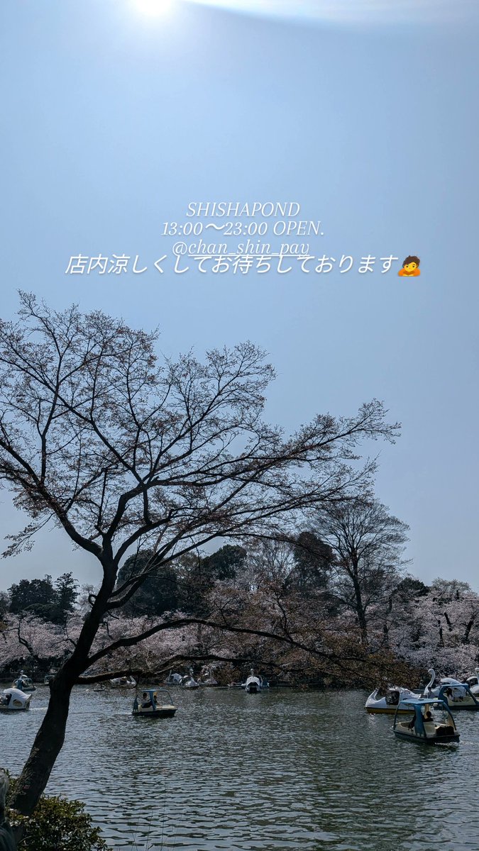 shishapond's tweet photo. https://t.co/223OGtdngl