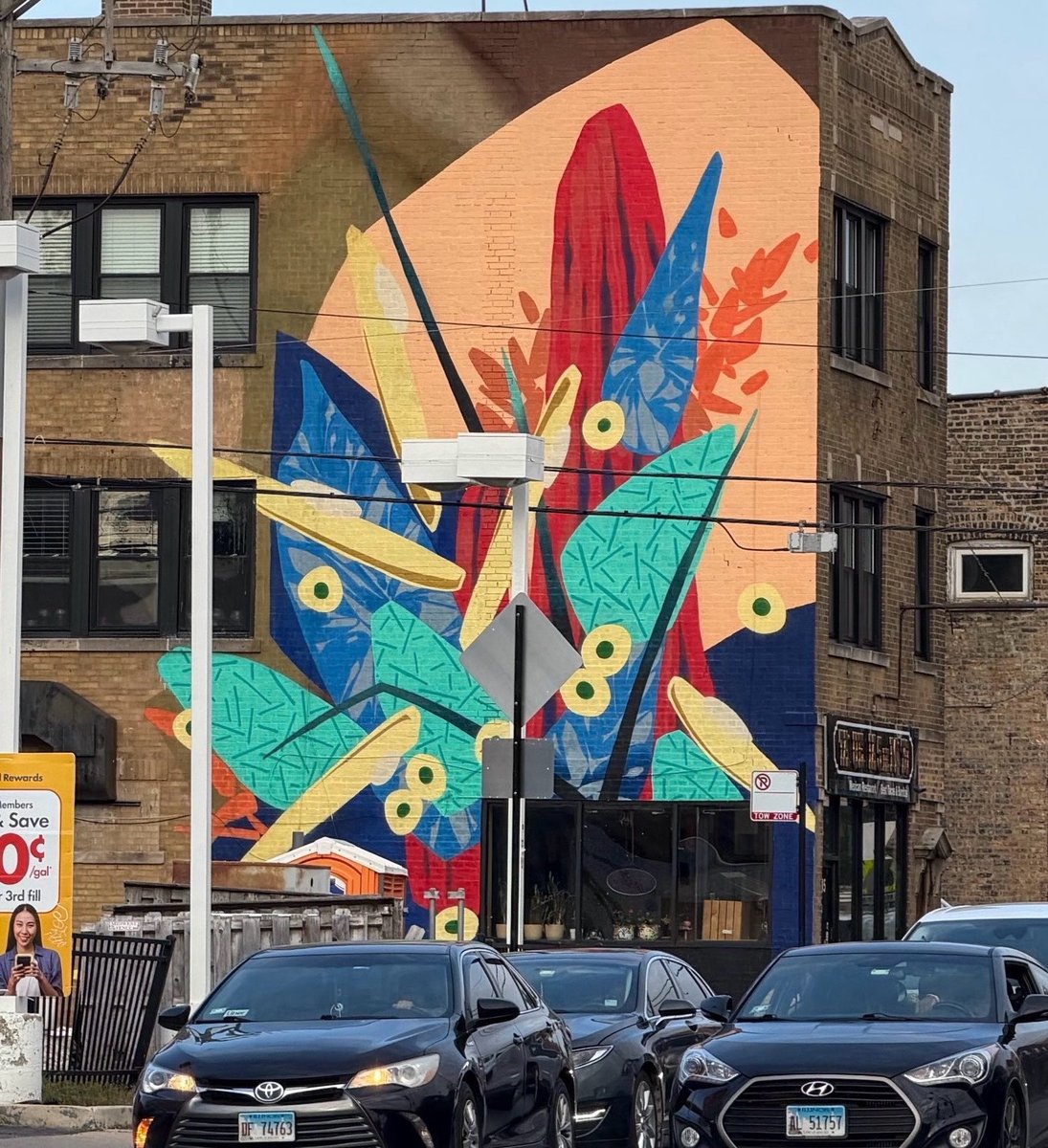 dark_garbaggio's tweet photo. A mural honoring Iryna Zarutska, the 23-year-old Ukrainian refugee who was fatally stabbed on a light rail train in Charlotte, North Carolina in August 2025, has been removed in Chicago after repeated vandalism and backlash. It has been replaced with abstract art. https://t.co/KwUlsXdwyt