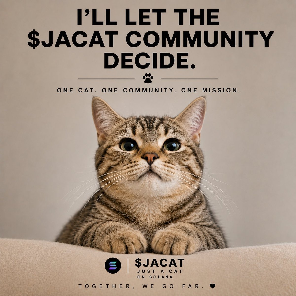 justacatca's tweet photo. https://t.co/CMmgfPe4So