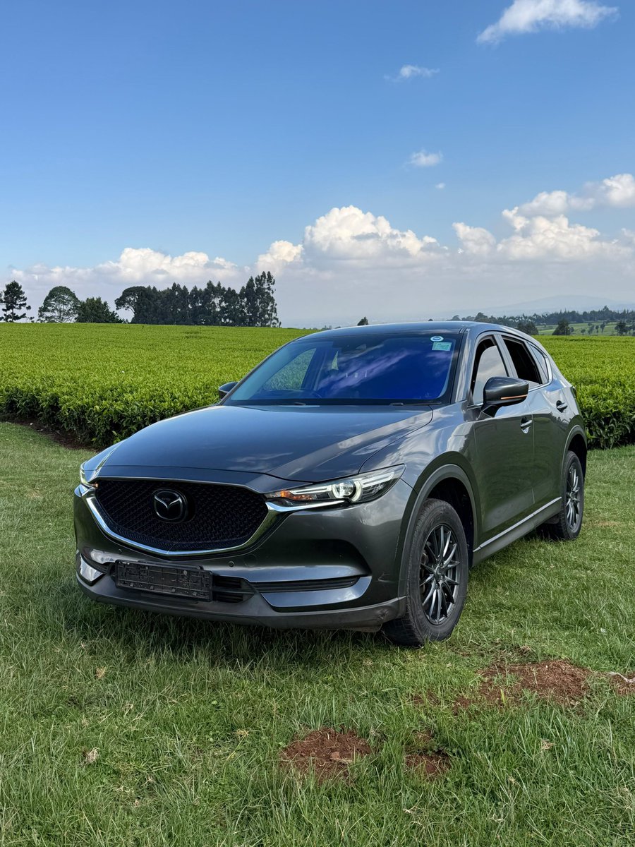 0mambia's tweet photo. 🚗 Thursday Made Easy with GO-WHEELS CAR HIRE!

Need a reliable ride today? We've got you covered with clean, comfortable and affordable cars for every journey.

GO-WHEELS CAR HIRE – Your Mobility Partner.

📞 Call/WhatsApp: 0723 630 231 | 0793 373 705 https://t.co/etHLaz40dP