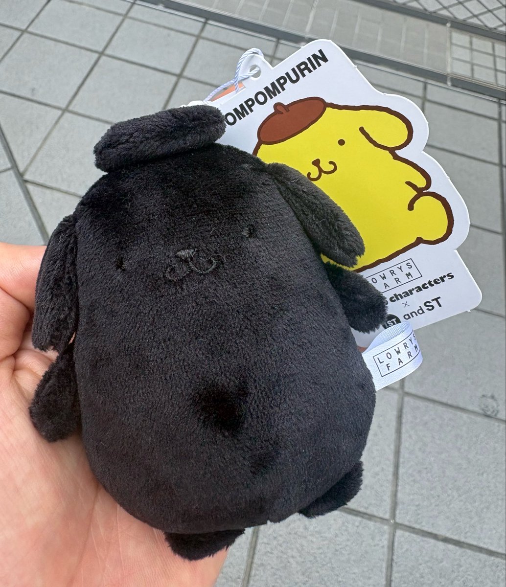 COCO_dis0108's tweet photo. andstに黒ぽむちゃん発見！！😊
#ポムバサダー https://t.co/wAQjSyMZl5
