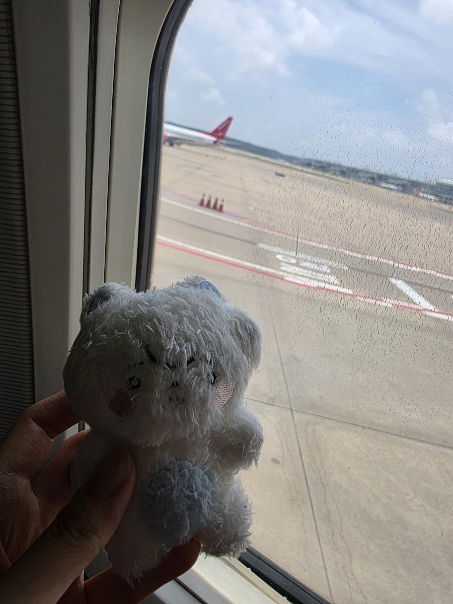 rinshrimp's tweet photo. 밥덩이와 또 떠납니다 https://t.co/omnF7TuVu3