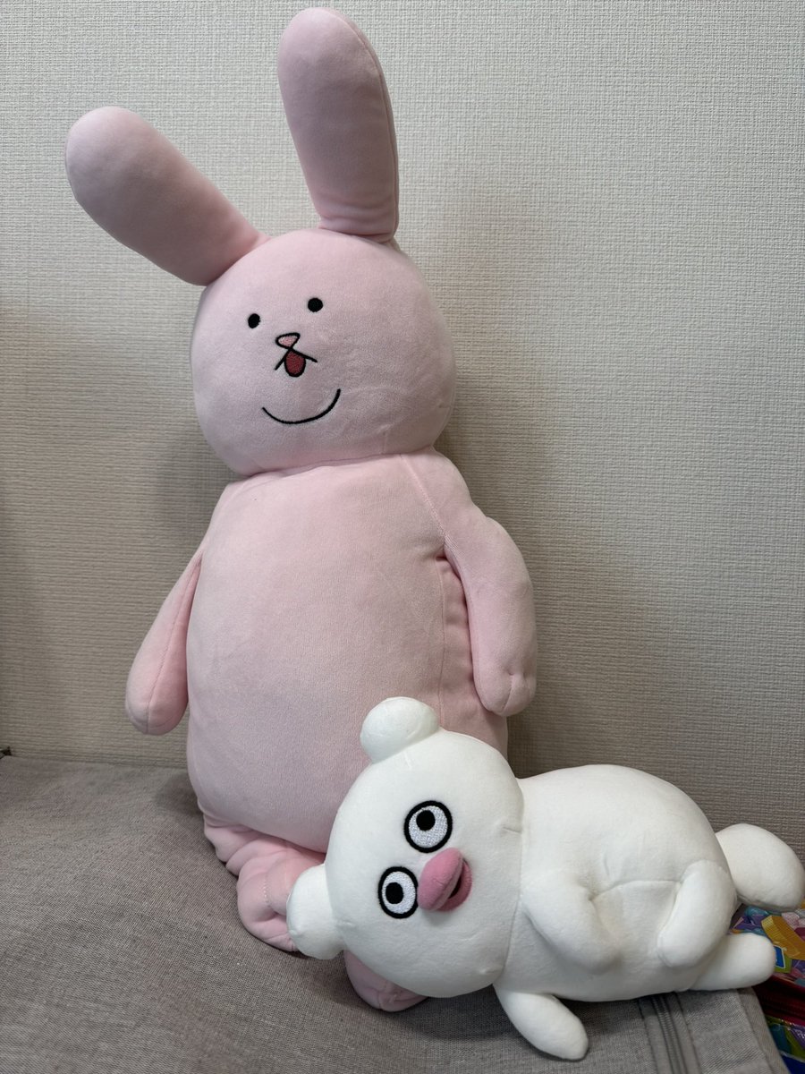 tekrnkrn's tweet photo. 最高に幸せ空間だった…！
キューさんにお会いできたのも
たくさんの作品を見れたのも
可愛いパモに会えたのも
直筆サインがもらえたのも
全部全部最高だった😊

我が家に仲間が増えました♡ᵎ

#キューライス
#キューライス万博
#ハッチンパモス https://t.co/OFa5g10rsf