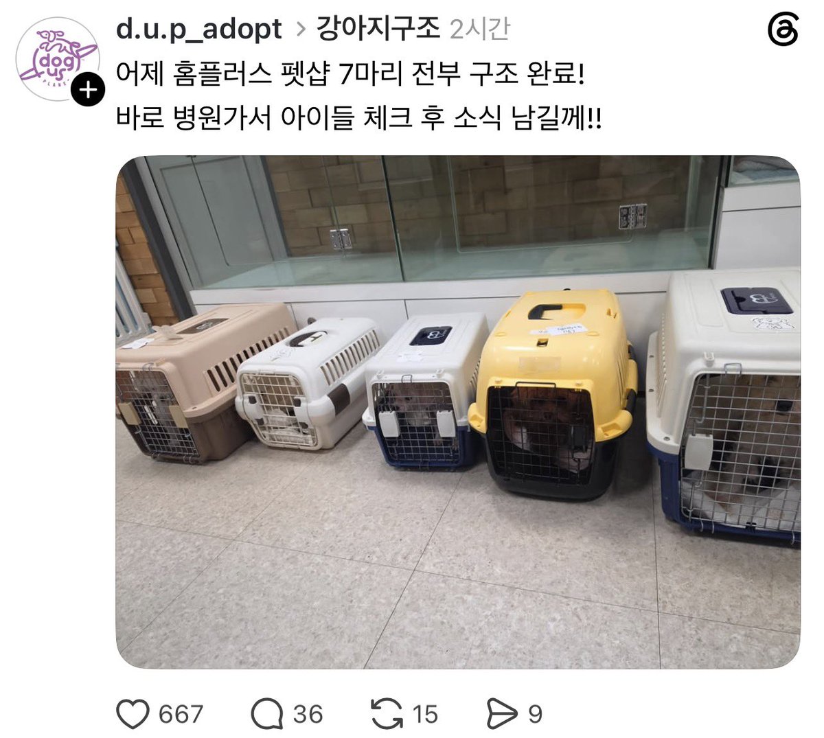 thesoohaa's tweet photo. 다행히 저 분 글 보고 여러사람들이 노력해서 
강아지들 전부 구조 되었다고 합니다.. 

참 다행이네요. 좋은곳에 입양되기를 ㅜ https://t.co/JRa5mvtgXc