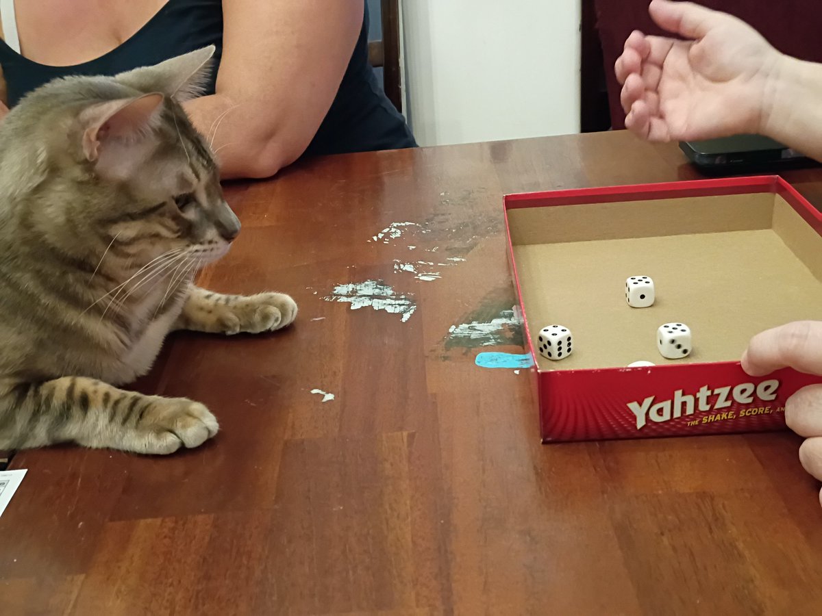 T0XICH3R0's tweet photo. Went With my mom on a trip to Tucson, Romeo wants to learn Yahtzee lol. Unfortunately have to miss a camp at school because they have the band camps happening rn. https://t.co/iLpntnRW3d