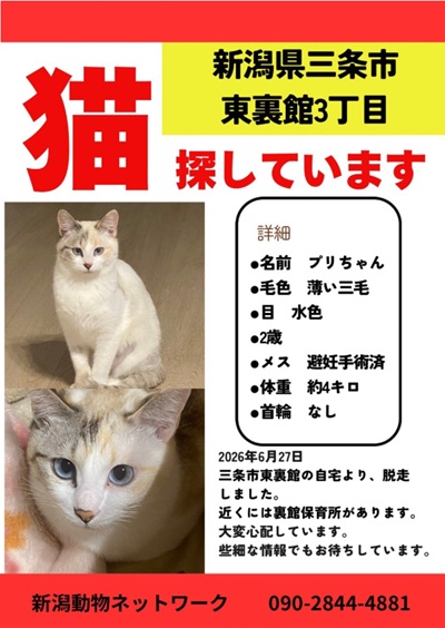 wildcatnipponia's tweet photo. ごめんなさいブリちゃんじゃなくて「プリちゃん」!!このお写真見ると切なくなる～。早くお家に帰れますように。 https://t.co/SLd01KauXv