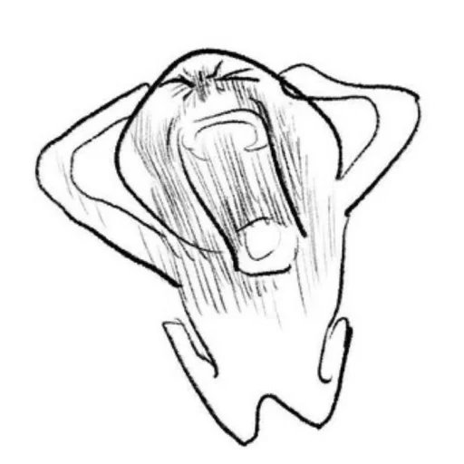morluto's tweet photo. @thsottiaux https://t.co/18VxNxmiaw