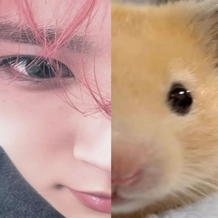 wwwbambi002's tweet photo. looking for kpop moots 🫶
i'm into enhypen, svt, pondphuwin!
rt or reply and i'll follow back 💗
#kpoptwt #findmoots #enhypentwt #kpoptwt https://t.co/H6cok78wJi