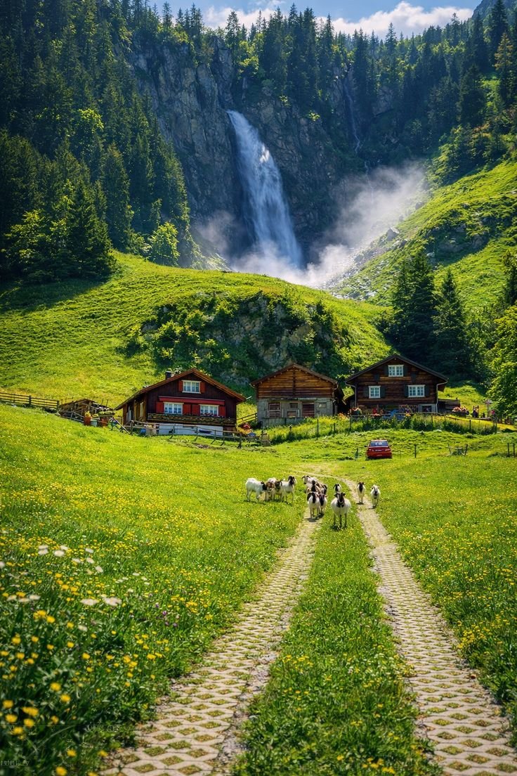 fashion_2027's tweet photo. Beautiful summer in Switzerland https://t.co/BjfXJzNzp4