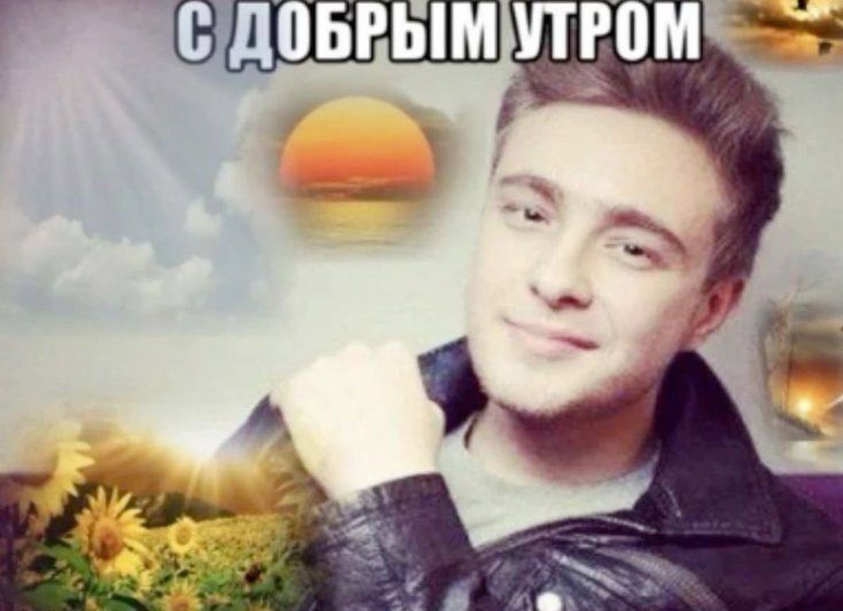 полли tweet media