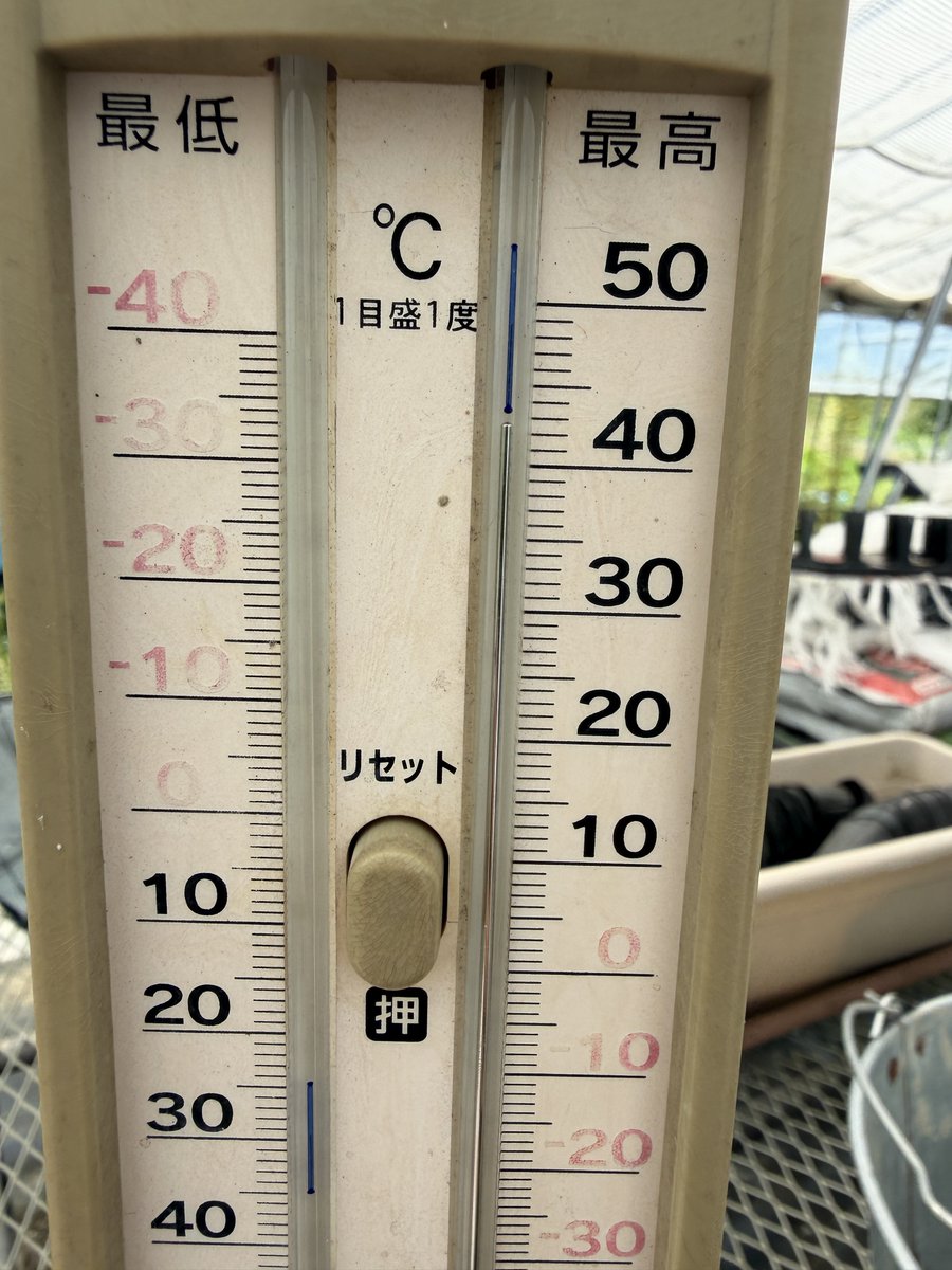 Bot1_game's tweet photo. @koucha_chaa それな
43℃ https://t.co/QuBep9V8uq